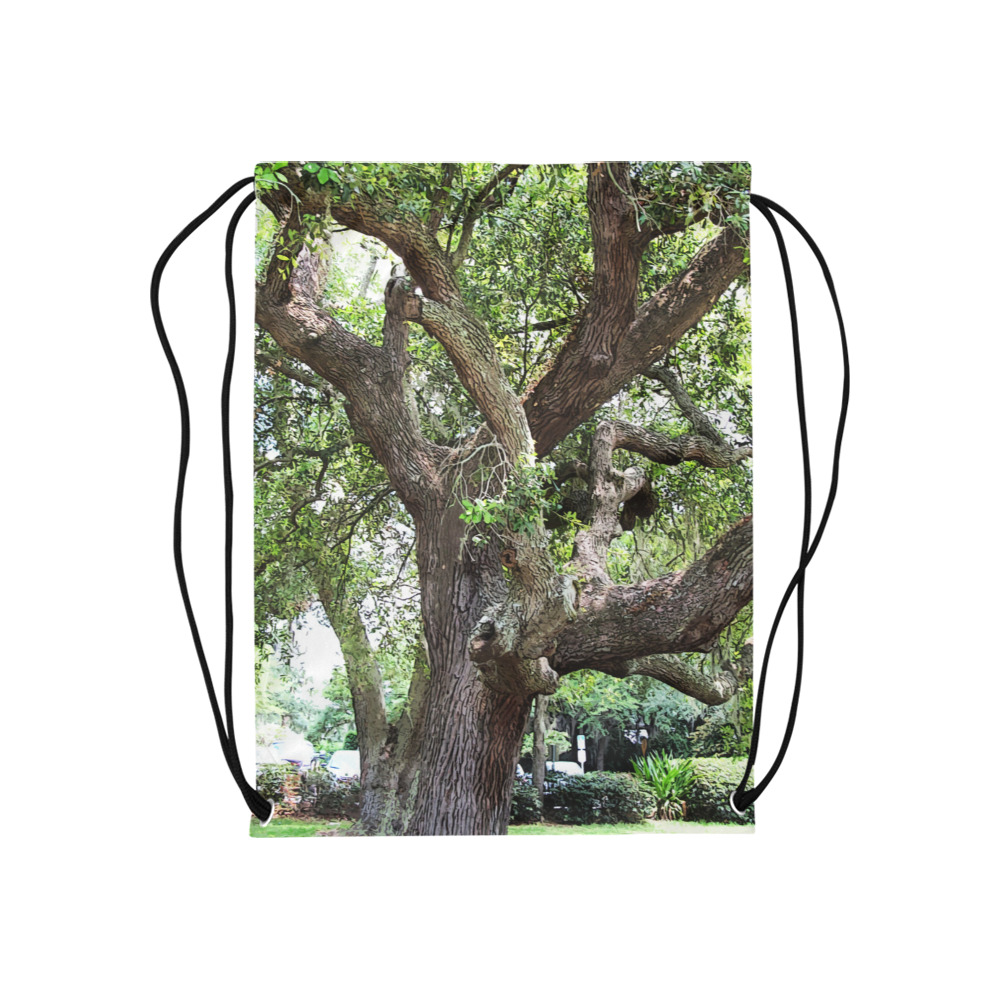 Oak Tree In The Park 7659 Stinson Park Jacksonville Florida Medium Drawstring Bag Model 1604 (Twin Sides) 13.8"(W) * 18.1"(H)