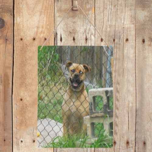 A Smiling Dog Metal Tin Sign 12"x16"