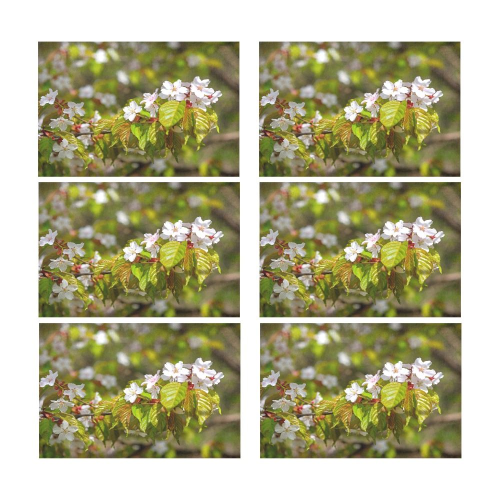 A row of sakura cherry flowers on a tree in spring Placemat 12’’ x 18’’ (Set of 6)