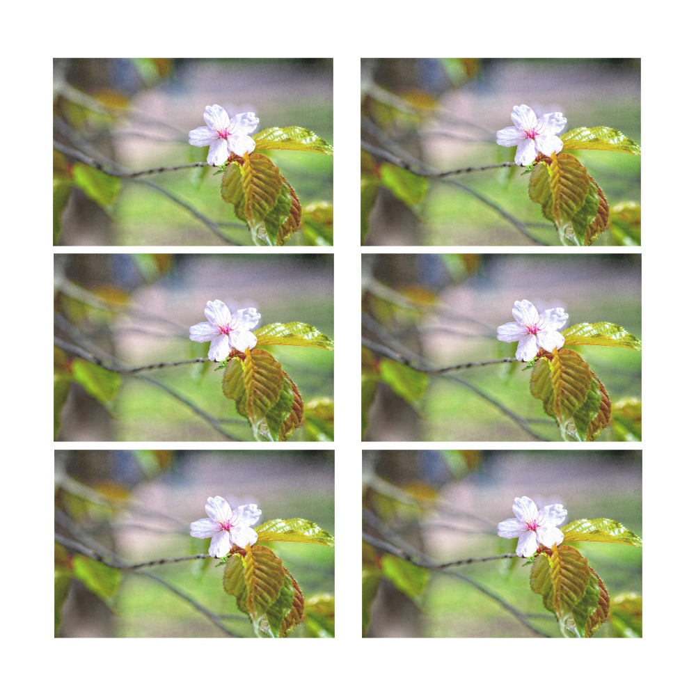 One sakura cherry flowers on a tree in spring. Placemat 12’’ x 18’’ (Set of 6)