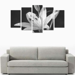 Black & White Single Lilly Photograph Canvas Print Sets A (No Frame)