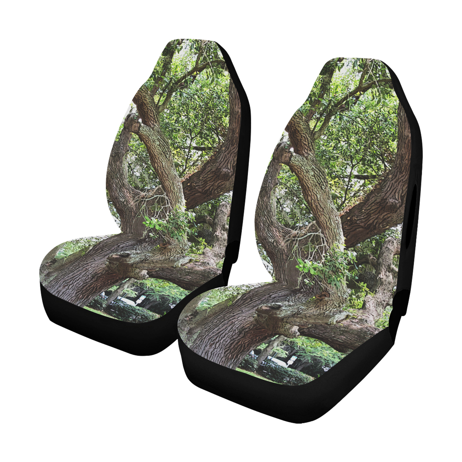 Oak Tree In The Park 7659 Stinson Park Jacksonville Florida Car Seat Cover Airbag Compatible (Set of 2)