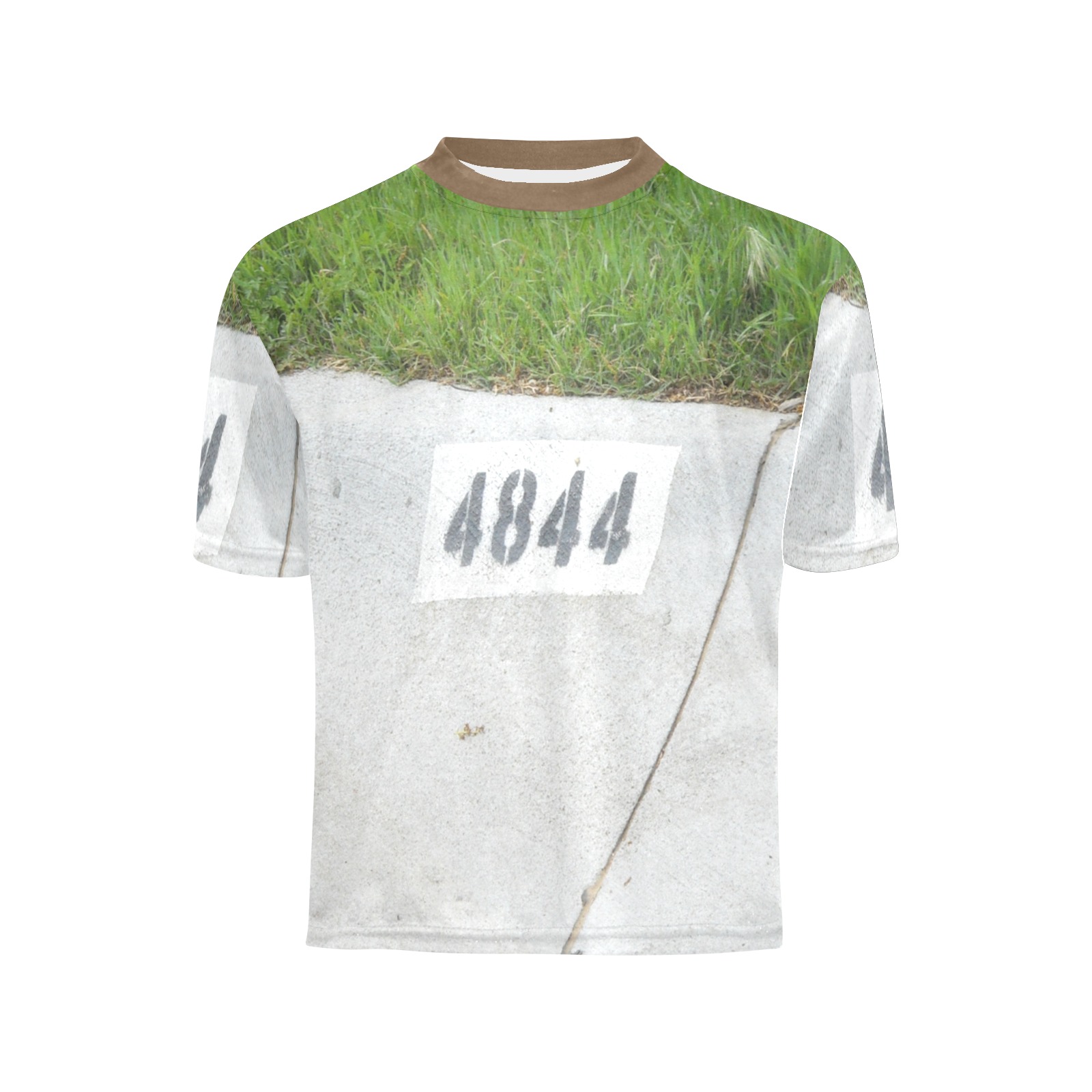 Street Number 4844 with brown collar Little Boys' All Over Print Crew Neck T-Shirt (Model T40-2)