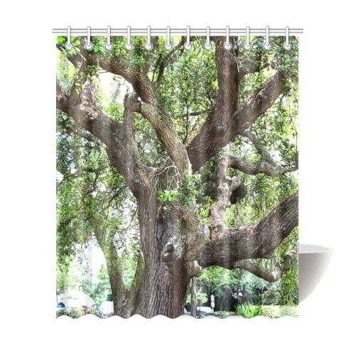 Oak Tree In The Park 7659 Stinson Park Jacksonville Florida Shower Curtain 72"x84"