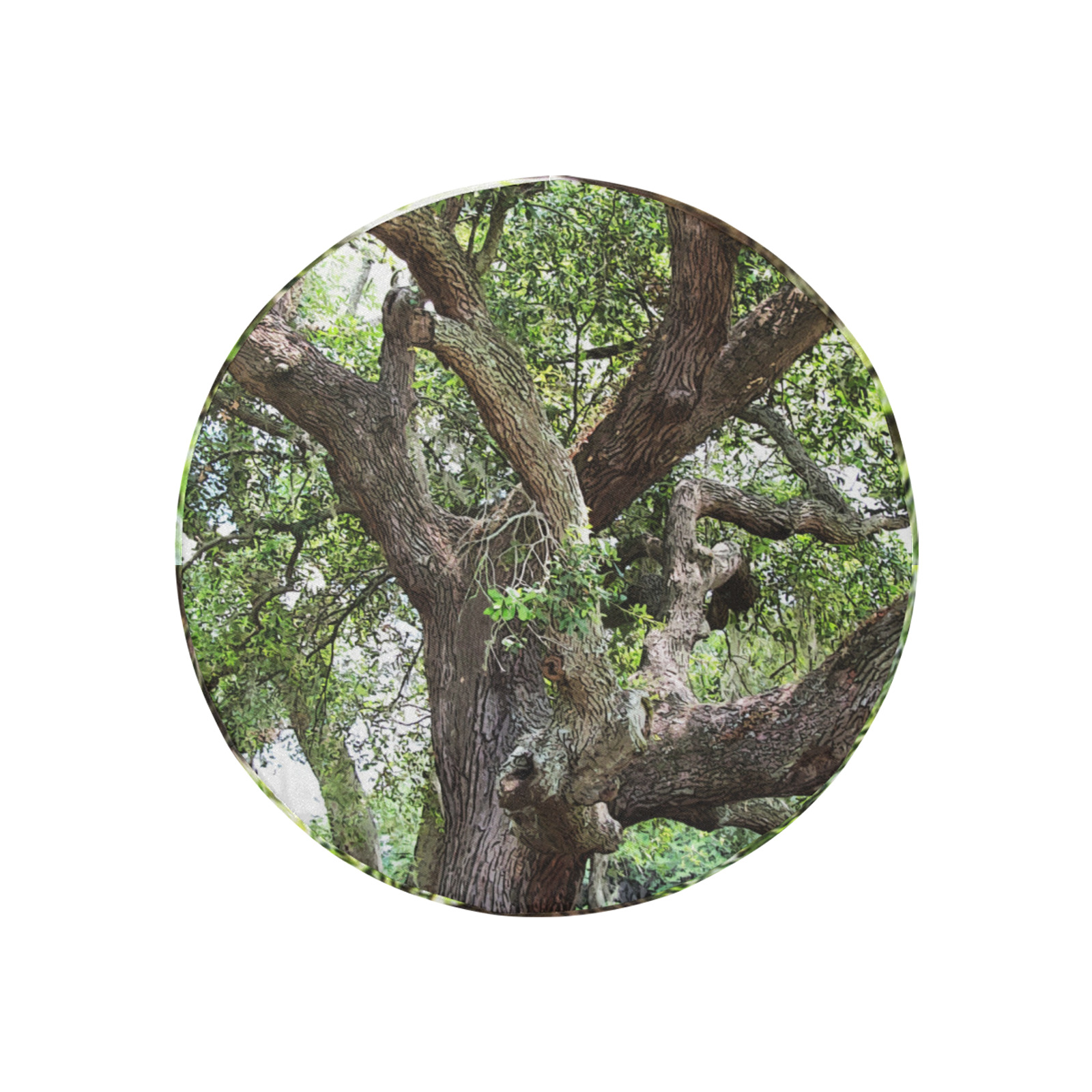 Oak Tree In The Park 7659 Stinson Park Jacksonville Florida 30 Inch Spare Tire Cover