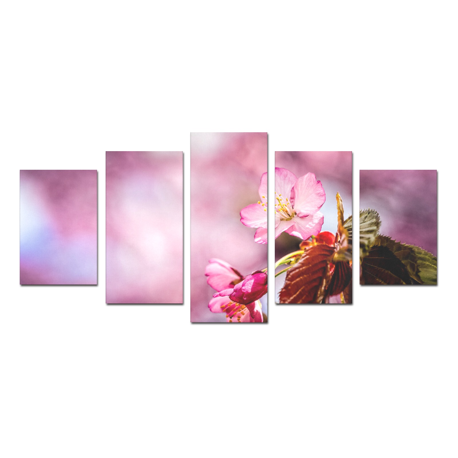 Striking pink sakura cherry flowers, pink mist. Canvas Print Sets D (No Frame)