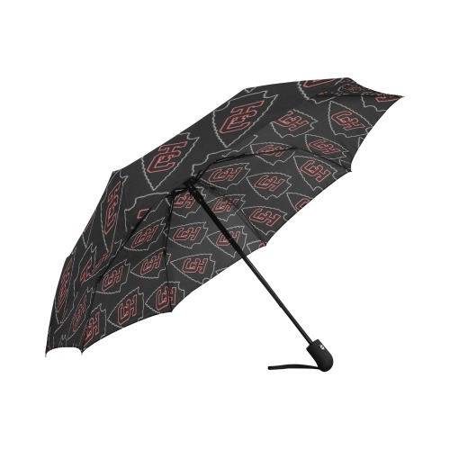Rain TC Black Auto-Foldable Umbrella (Model U04)