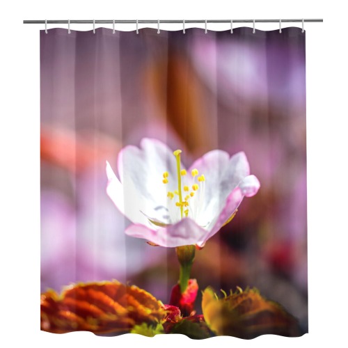 Single, elegant Sakura flowers blooming in spring. Shower Curtain 72"x84"