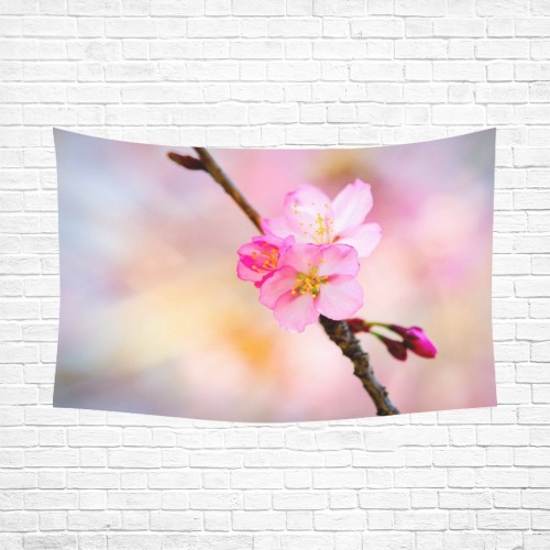 Simply elegant and beautiful pink sakura flowers.