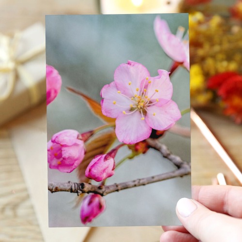 Charming sakura flowers. Japanese cherry blossom. Greeting Card 4"x6"