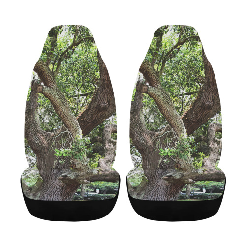 Oak Tree In The Park 7659 Stinson Park Jacksonville Florida Car Seat Cover Airbag Compatible (Set of 2)