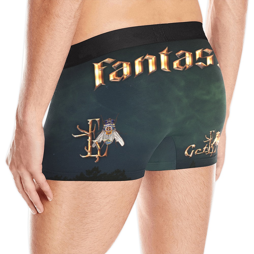 Fantasy Collectable Fly Men's All Over Print Boxer Briefs (Model L10)