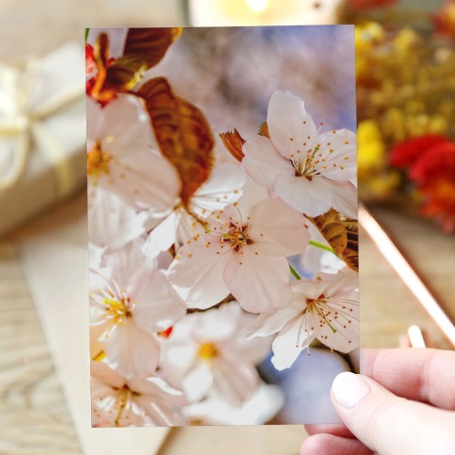 A bunch of chic Japanese sakura flowers in spring Greeting Card 4"x6"