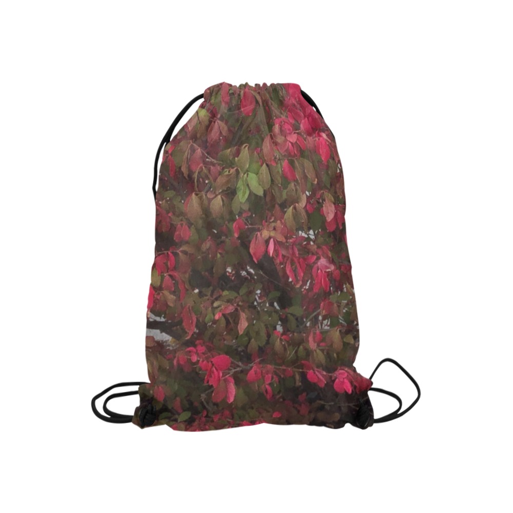 Changing Seasons Collection Small Drawstring Bag Model 1604 (Twin Sides) 11"(W) * 17.7"(H)