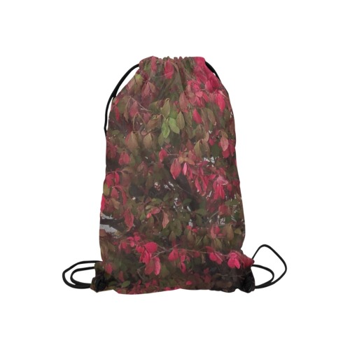 Changing Seasons Collection Small Drawstring Bag Model 1604 (Twin Sides) 11"(W) * 17.7"(H)