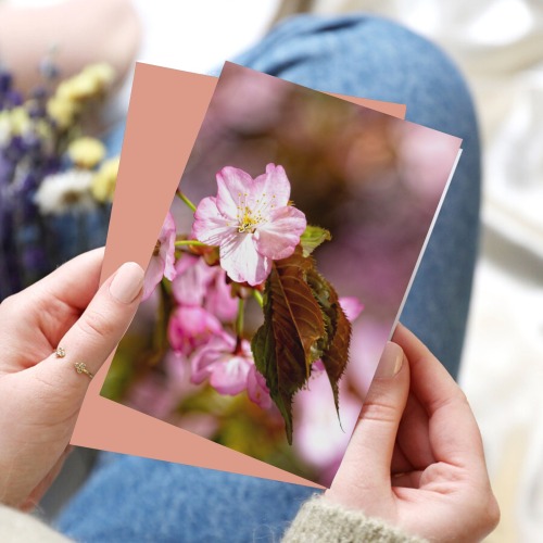 The festival of pink sakura cherry blossoms.