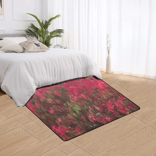 Changing Seasons Collection Area Rug with Black Binding 5'3''x4'