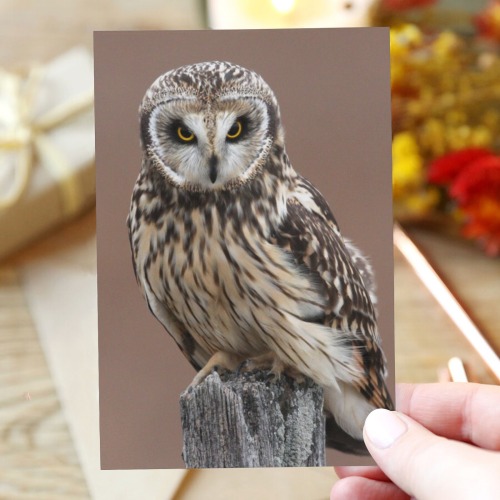 owl 1 Greeting Card 4"x6"