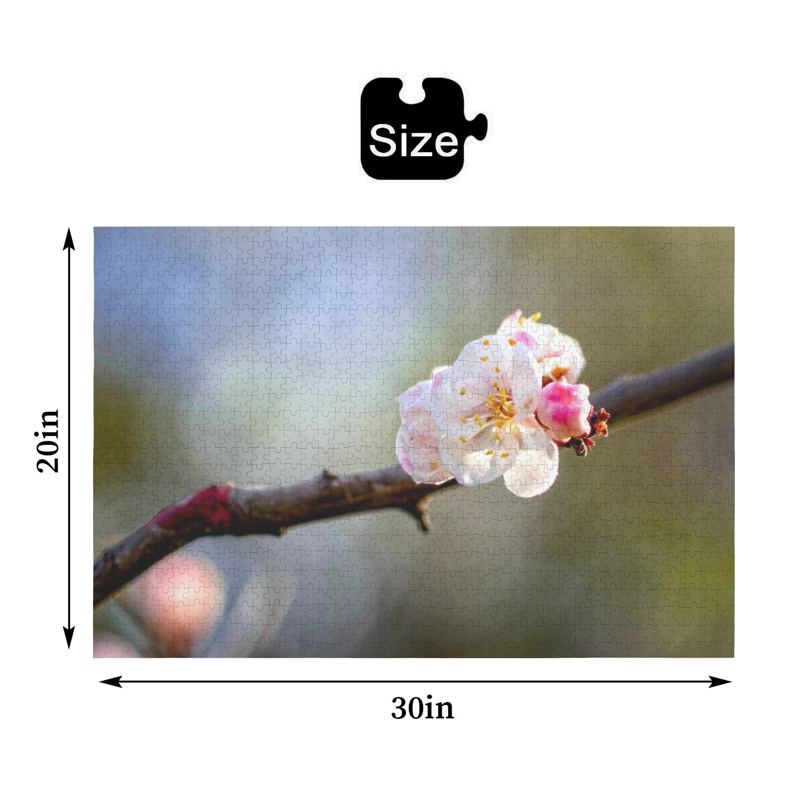 Minimalism of Japanese apricot branch and flowers. 1000-Piece Wooden Jigsaw Puzzle (Horizontal)