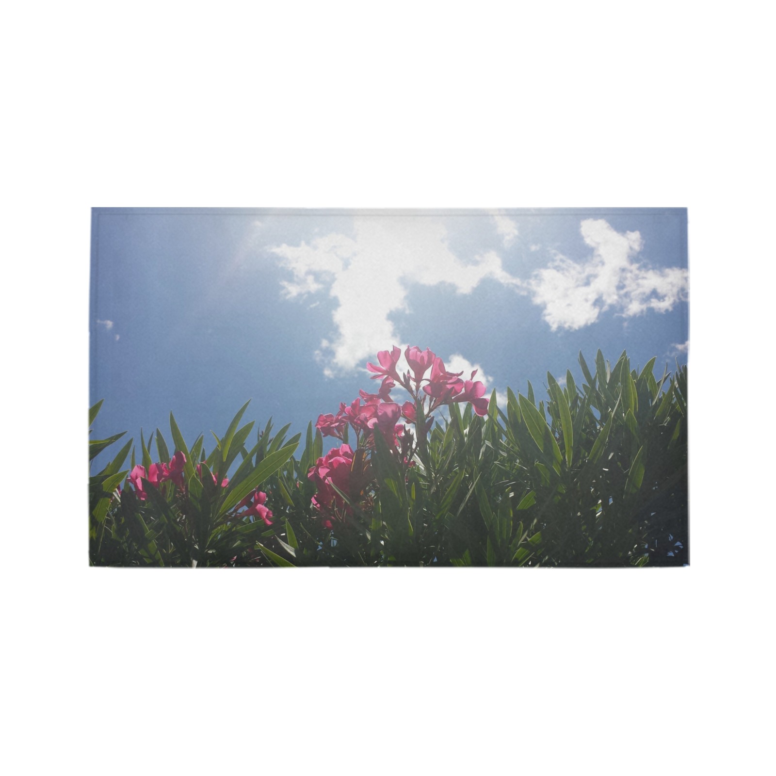 Pink Flowers & Sky Azalea Doormat 30" x 18" (Sponge Material)