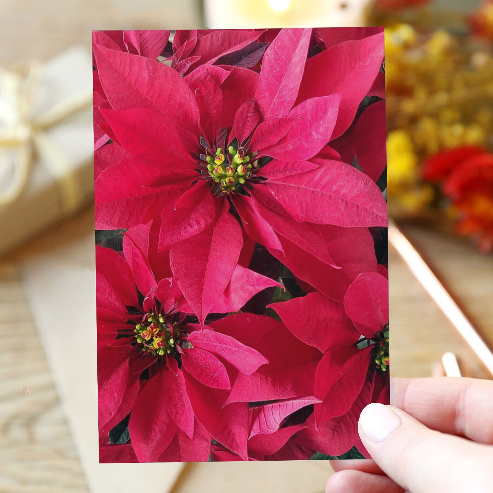 Red Poinsettias Greeting Card 4"x6"
