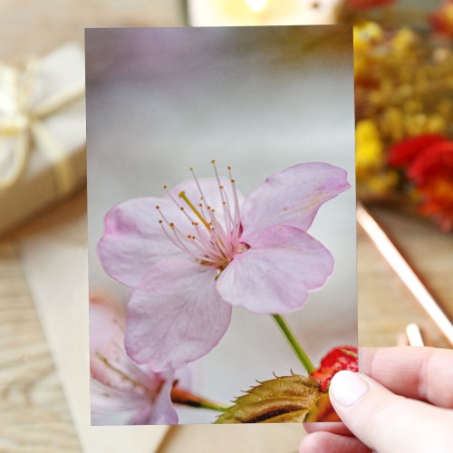 Soft pink sakura cherry flower. Magical garden. Greeting Card 4"x6"