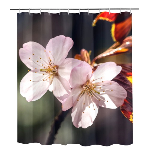 Two beautiful sakura Japanese cherry blossoms. Shower Curtain 72"x84"