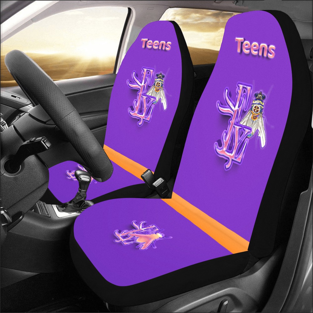 Teen Collectable Fly Car Seat Covers (Set of 2)