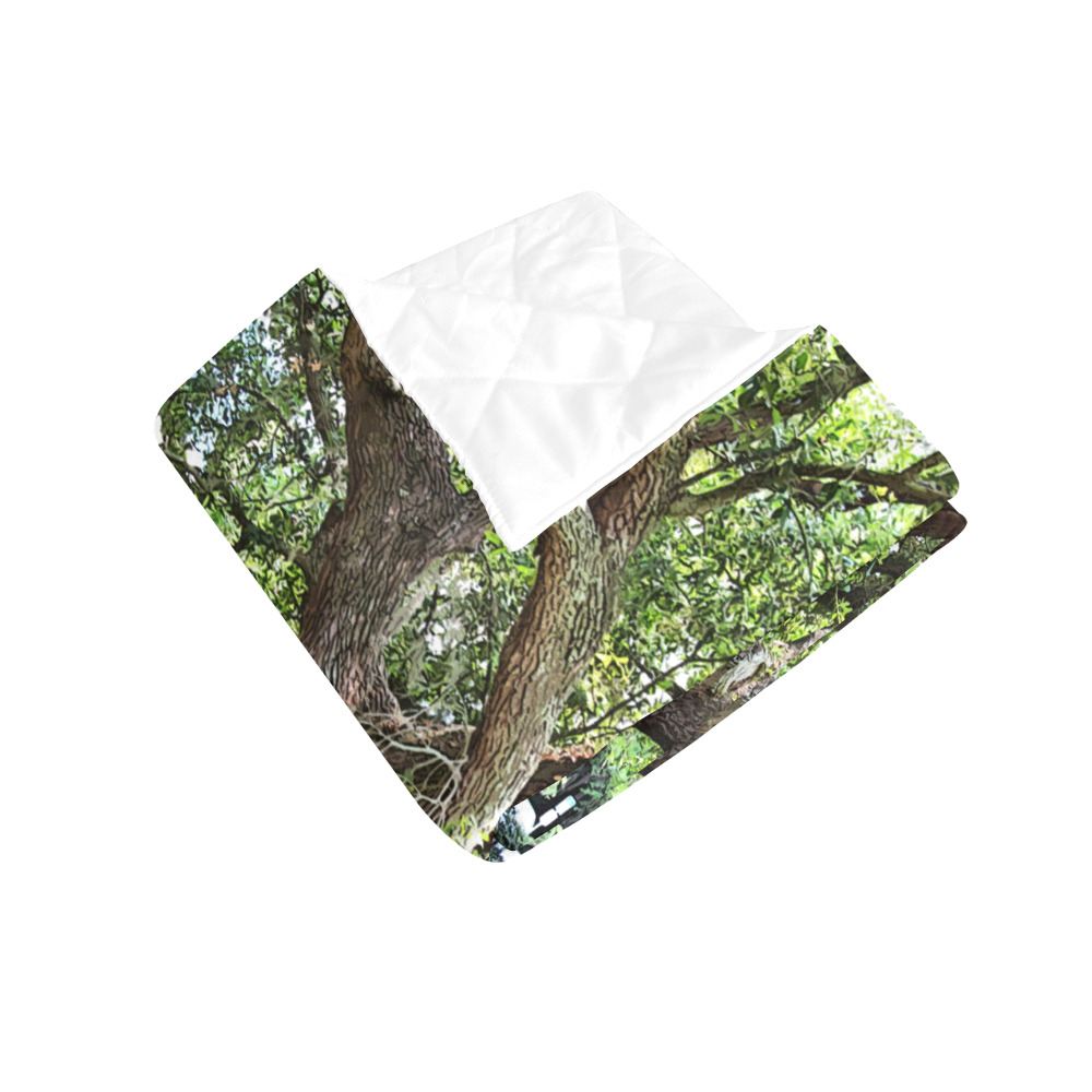 Oak Tree In The Park 7659 Stinson Park Jacksonville Florida Quilt 50"x60"