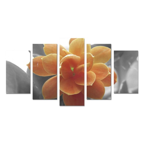Black & White Single Orange Kalonchoe Flower Photograph Canvas Print Sets A (No Frame)