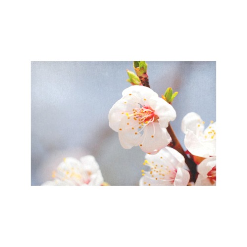 Magnificent Japanese apricot flowers on a tree. Placemat 12’’ x 18’’ (Set of 6)