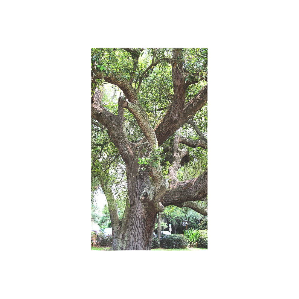 Oak Tree In The Park 7659 Stinson Park Jacksonville Florida Custom Towel 16"x28"