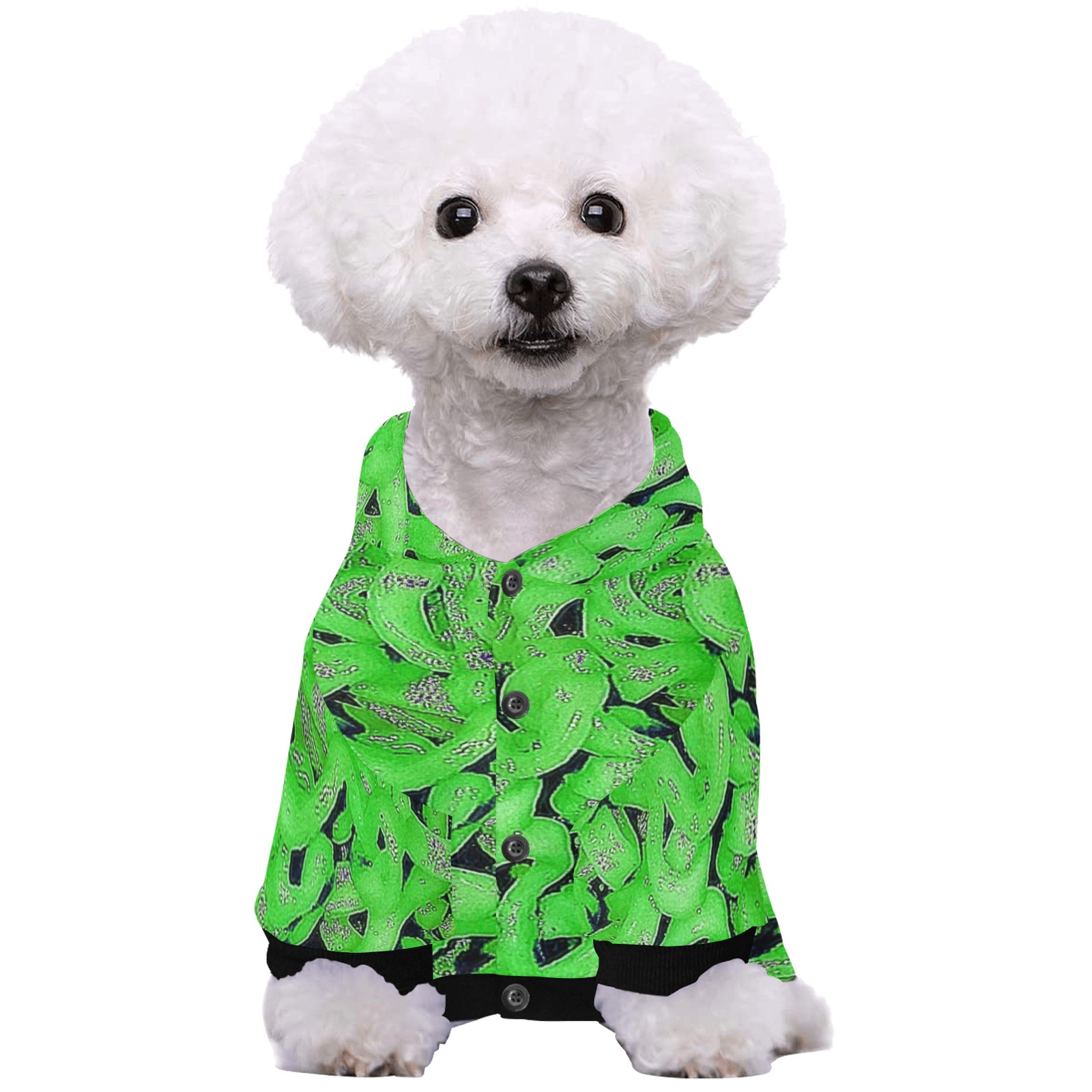 Green Ramen Pet Dog Hoodie