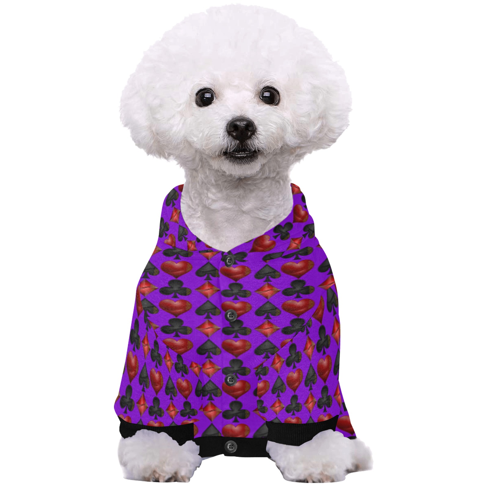 Las Vegas Poker Card Shapes - Purple Pet Dog Hoodie