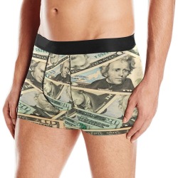 US PAPER CURRENCY Men's All Over Print Boxer Briefs (Model L10)