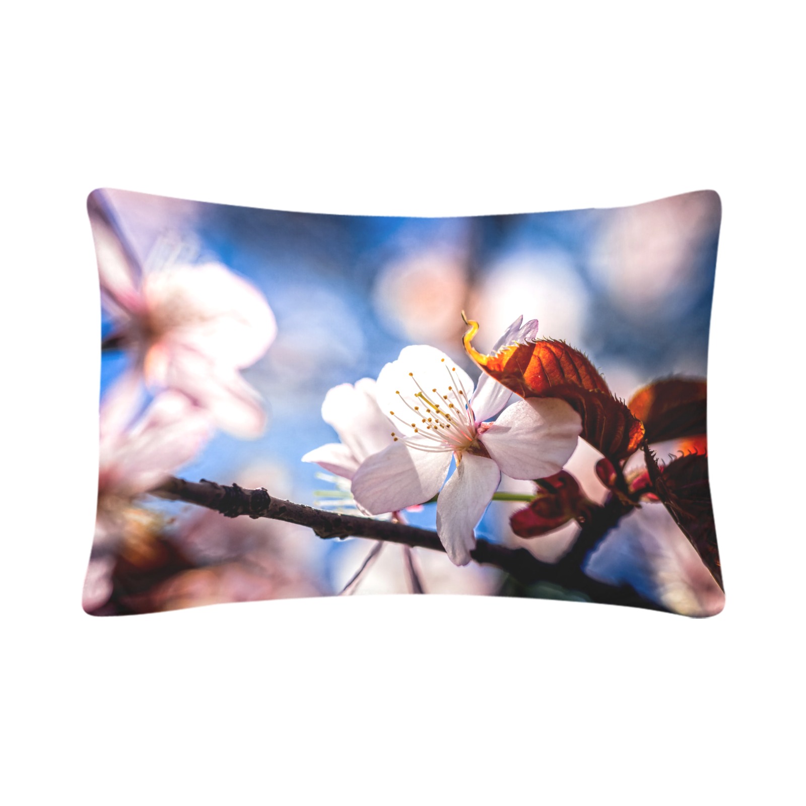 Sunlit sakura cherry flower in the tree shadow. Custom Pillow Case 20"x 30" (One Side) (Set of 2)