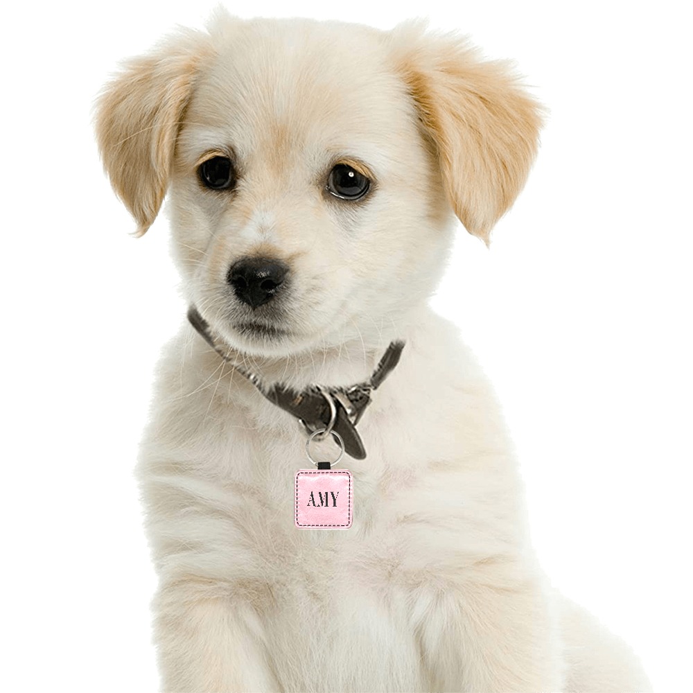 Amy Square Pet ID Tag
