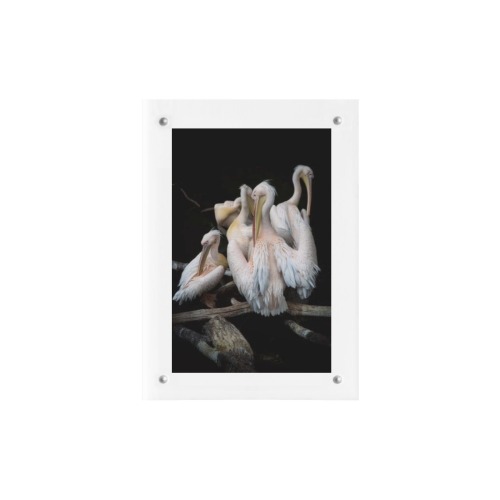 Storks Acrylic Magnetic Photo Frame 5"x7"