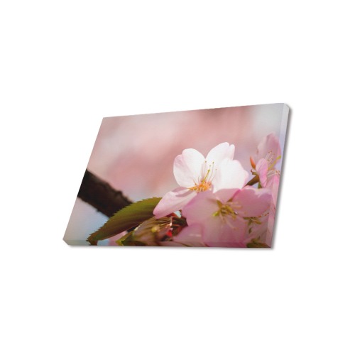 Sunlit petals of a small sakura cherry flower. Upgraded Canvas Print 18"x12"
