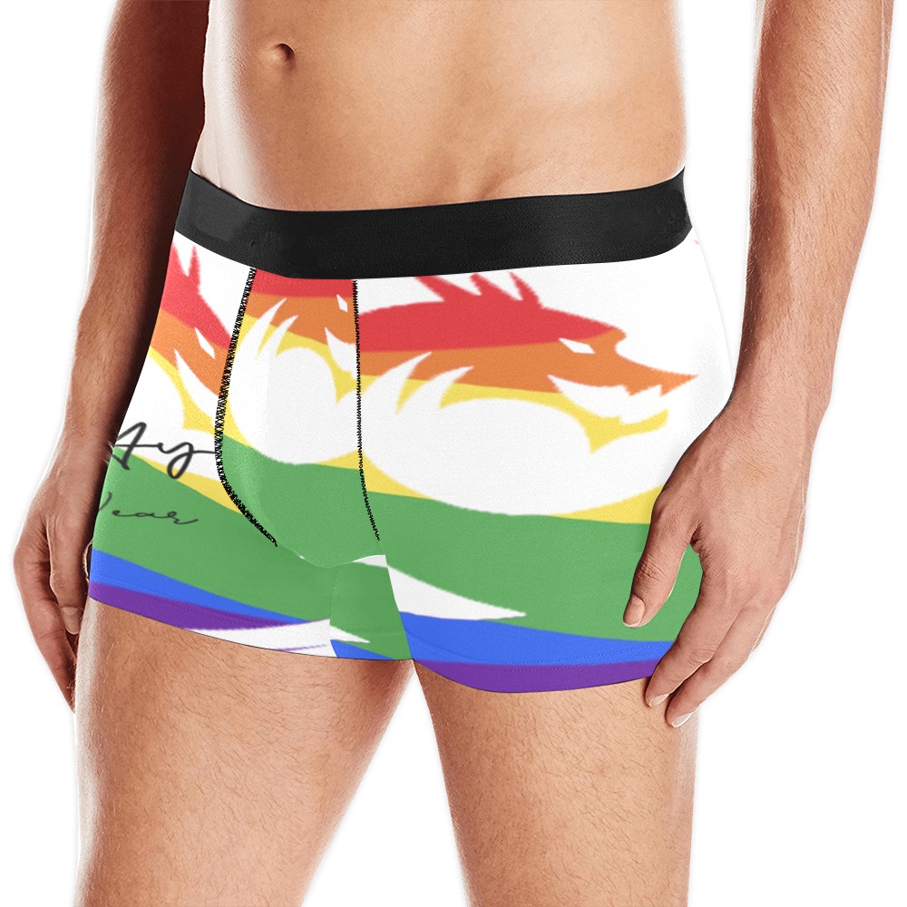 Pride Underwear Men's All Over Print Boxer Briefs (Model L10)