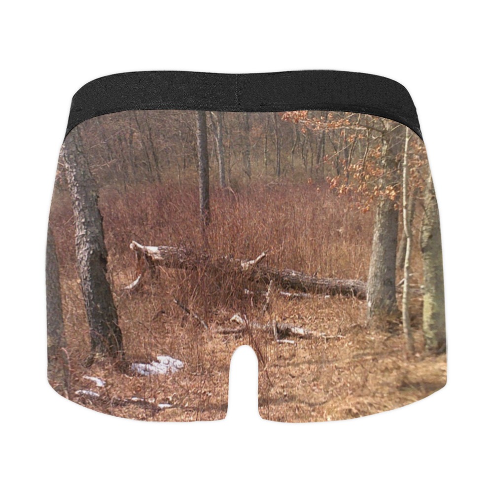 Falling tree in the woods Men's Boxer Briefs with Merged Design (Model  L10)