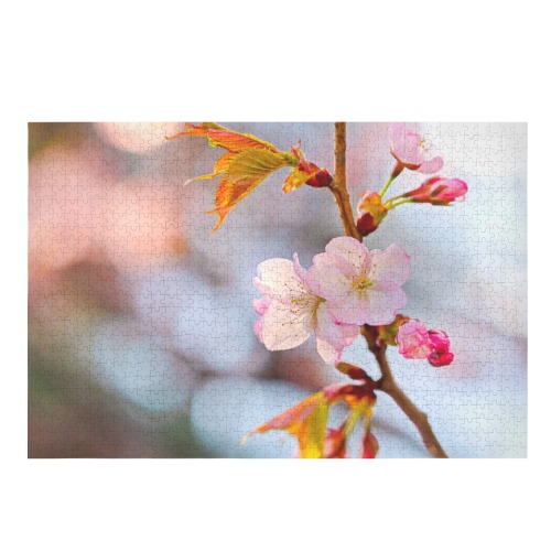Beauty and magic of blossoming sakura cherry tree.