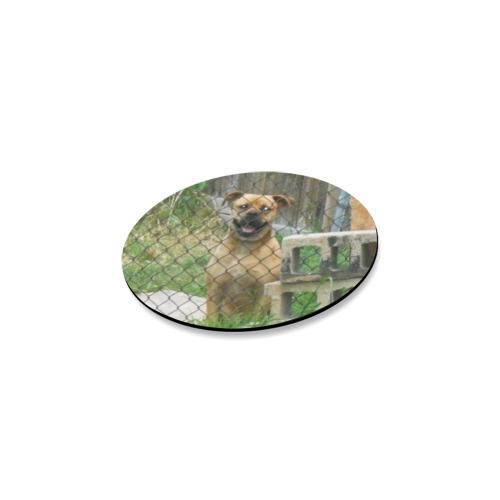 A Smiling Dog Round Coaster