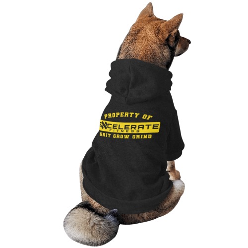Promo Shirt Back gold Pet Dog Hoodie