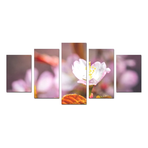Sakura cherry flower enjoys sunshine in spring. Canvas Print Sets D (No Frame)