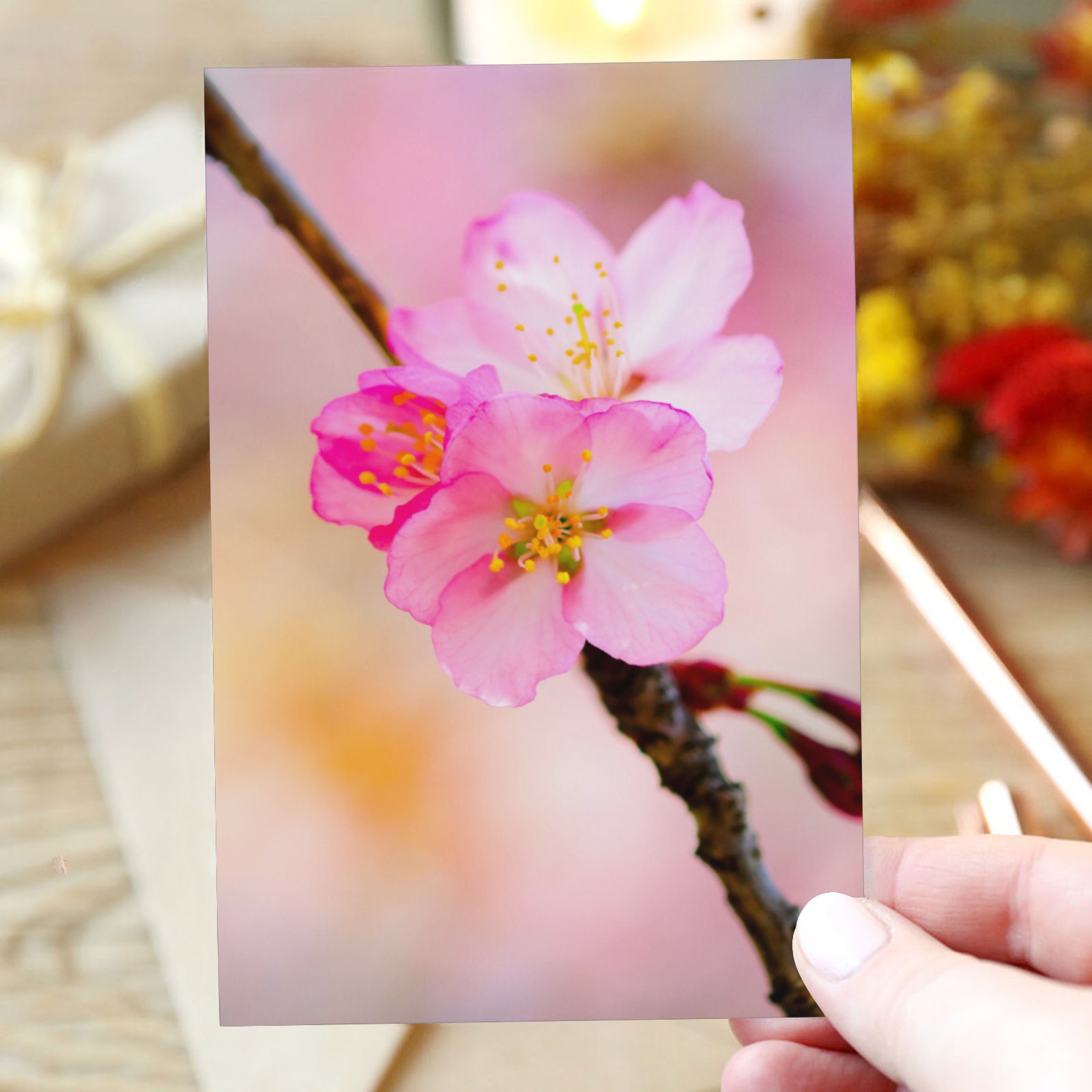 Simply elegant and beautiful pink sakura flowers. Greeting Card 4"x6"