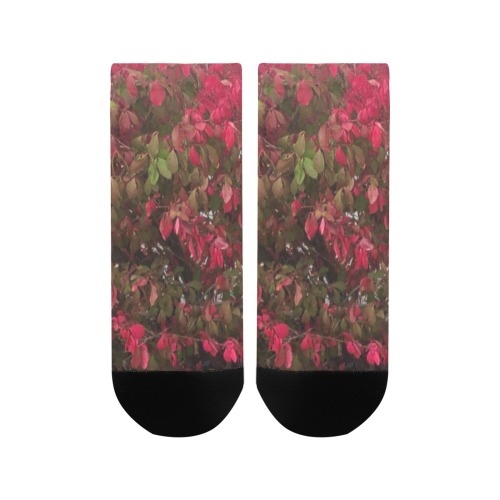 Changing Seasons Collection Women's Ankle Socks