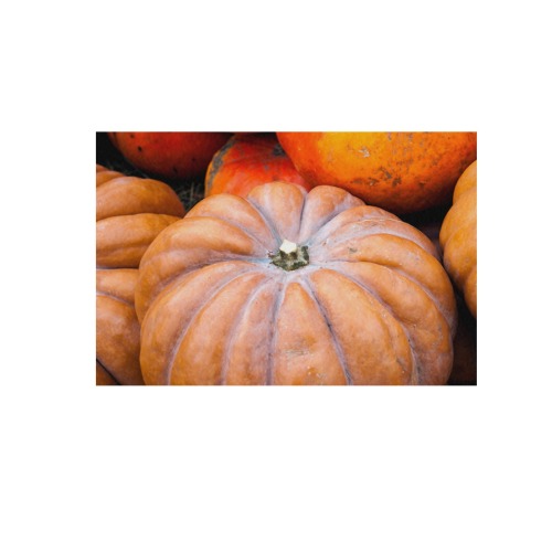 Pumpkin Halloween Thanksgiving Crop Holiday Fall Frame Canvas Print 48"x32"