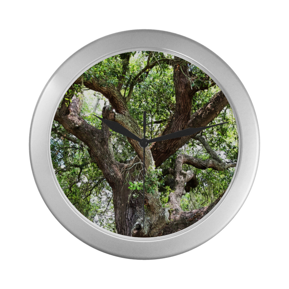 Oak Tree In The Park 7659 Stinson Park Jacksonville Florida Silver Color Wall Clock