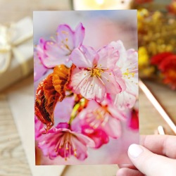 Pink sakura flowers in the garden. Hanami season. Greeting Card 4"x6"
